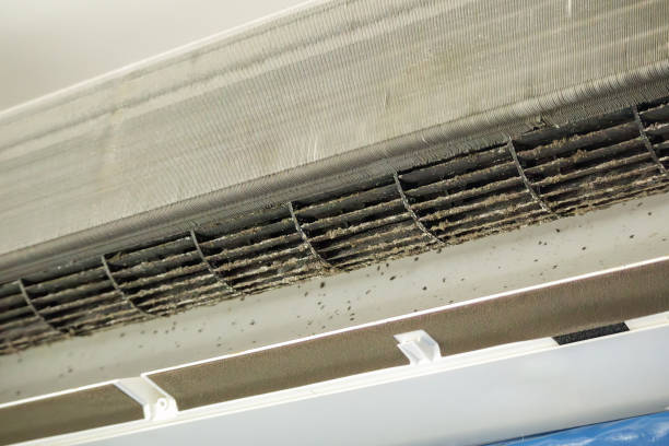 Best Professional Duct Cleaning Services  in Joseph City, AZ