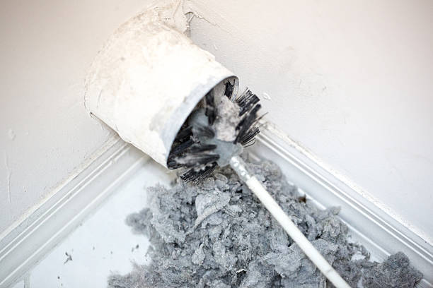 Best Duct Cleaning for Offices  in Joseph City, AZ